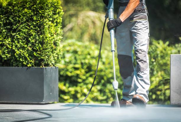 Best Fence Cleaning  in Cold Spring, KY