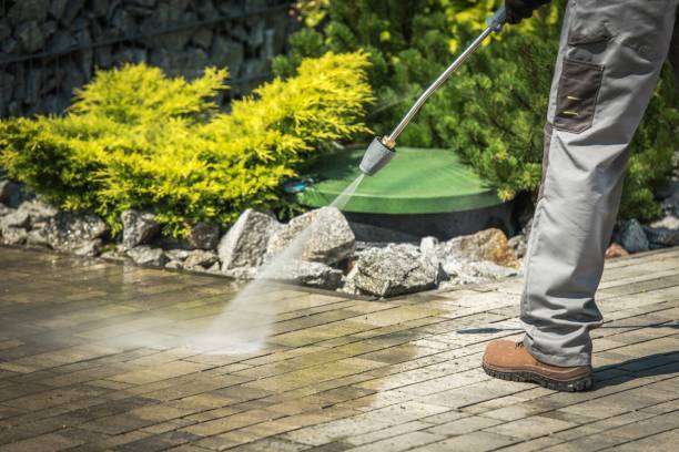 Best Gutter Cleaning  in Cold Spring, KY